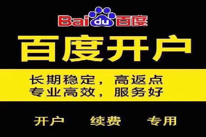 百度平台推广案例：低成本营销的成功之道